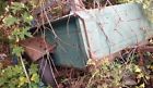 Chevy Truck Up Bed Buffalo Ford Short Farm Dodge Pick 1940-50s Axle
