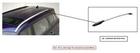 Lj6z7850463ac Ford Left Roof Luggage Rack Oem 2025 Escape