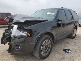 148.fd8e14 Ford Truck Expediton 2014 Luggage Rack