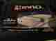 In-su-k5 Insuk5 Inno Advanced Car Racks Iinno Stay Rack For Smooth Roof Nib