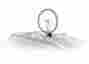 91021593176 Thule 593 Wheel-on Bicycle Bike Carrier Roof Top Accessories