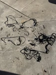 Mercedes-benz W201 190E Engine Wiring Harness Assembly M103 2.6 6-CYLINDER. Fixed Price $199.00.