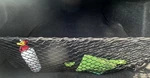 Rear Trunk Envelope Style Organizer Cargo Net For Chevrolet Impala 2000-2020 New. Fixed Price $16.95.