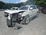 Escalade 2017 Luggage Rack 1061724. Fixed Price $170.37.