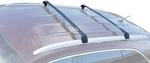 Brightlines Roof Racks Cross Bars Replacement For 2016-2020, Silver. Fixed Price $150.97.