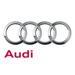 Genuine Audi Cap Set 4M0-071-209. Fixed Price $103.28.
