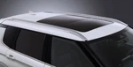 2022 Mitsubishi Outlander Roof Rails MZ576929EX. Fixed Price $492.00.