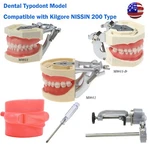 Us Dental Typodont Study Detachable Model With Simulated Cheek And Mounting Pole. Fixed Price $59.99.