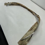 Nos 1982-87 Grand Prix Lf Wheel Lip Molding 10013620 F1. Fixed Price $100.00.