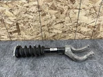 Volvo S60 2019-2024 Front Left Shock Strut Absorber & Coil Spring Fork Oem. Fixed Price $110.46.