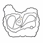 Genuine Ford Oil Pan Gasket 8C3Z6710A. Fixed Price $57.81.
