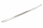 Genuine Gm Driver Side Luggage Carrier Rail 84601093. Fixed Price $611.56.