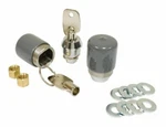 Empi 15-2005 Vw Bug & Bus Roof Rack Locks. Fixed Price $83.95.