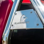 Black Horse Off Road RB001SS Classic Roll Bar. Fixed Price $1044.14.