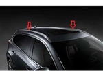 2016 2017 2018 2019 2020 2021 2022 2023 Mazda CX-9 Roof Rack Rails 00008LN10B. Fixed Price $356.96.